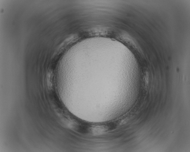 X0000067870218200604271744