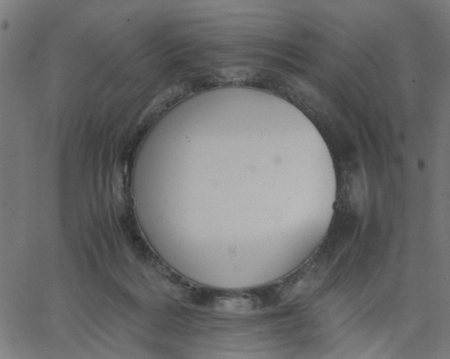 X0000067870220200604271744