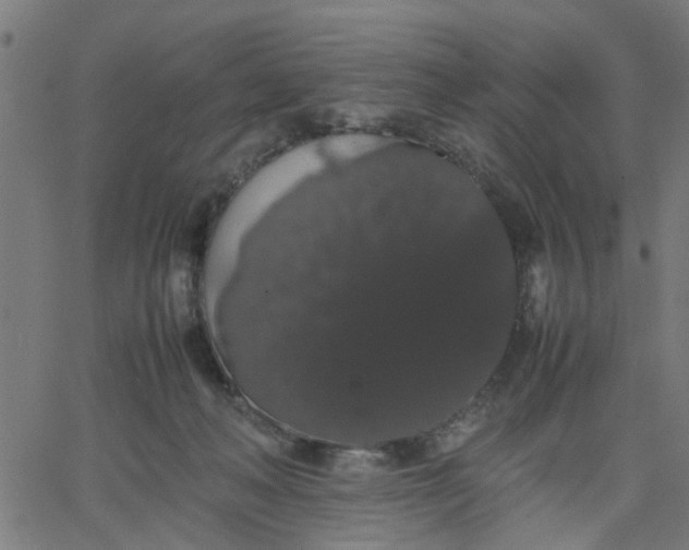 X0000067870222200604271744