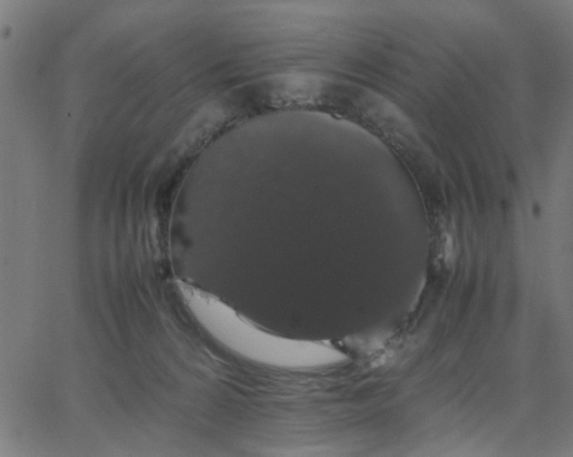 X0000067870224200604271744