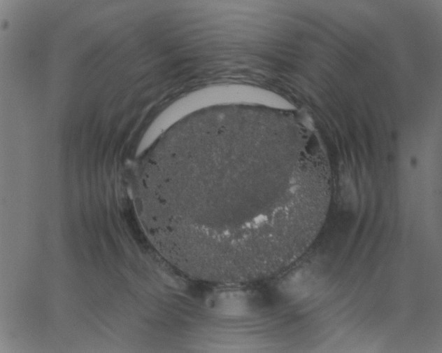 X0000067870228200604271744