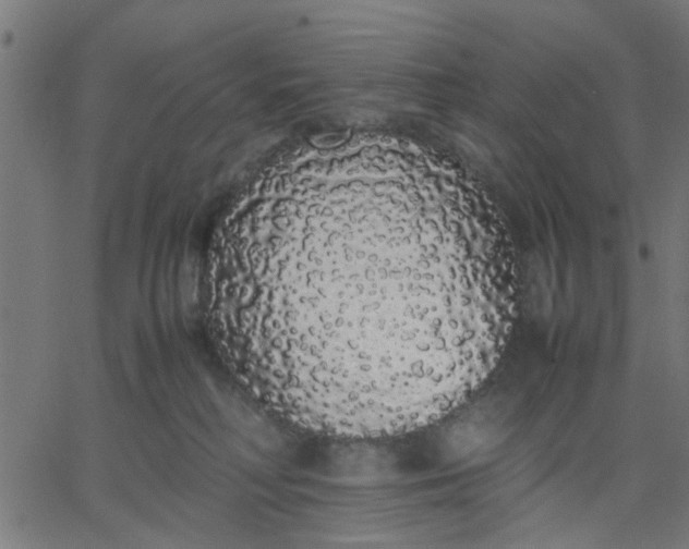 X0000067870230200604271744