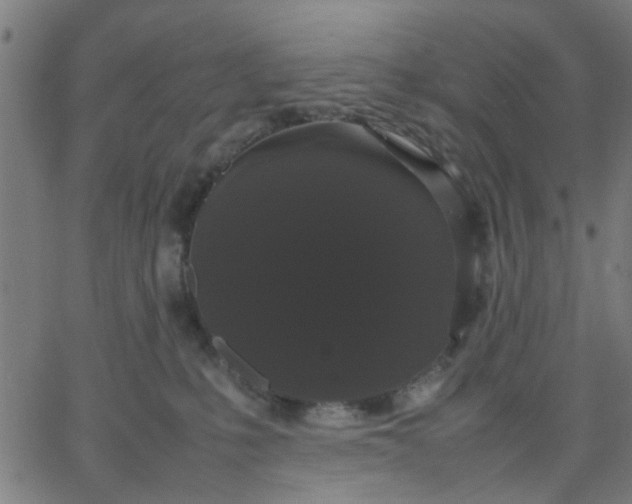 X0000067870231200604271744