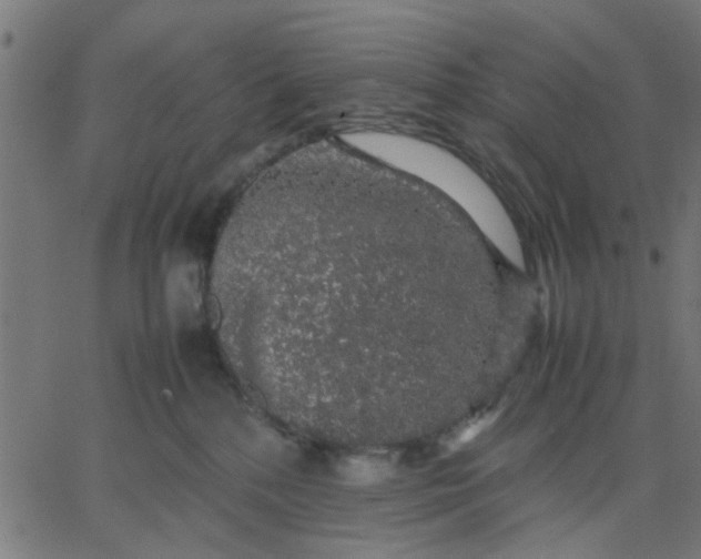 X0000067870232200604271744