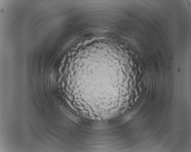 X0000067870238200604271744