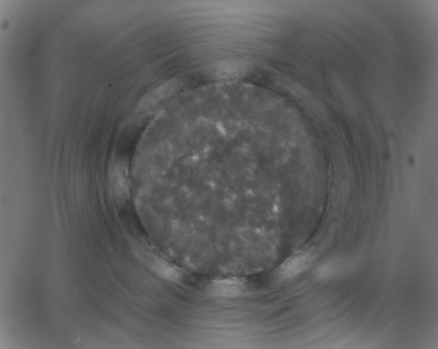 X0000067870240200604271743