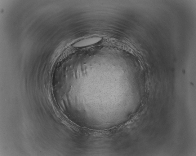 X0000067870241200604271743