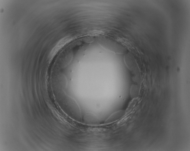 X0000067870242200604271743