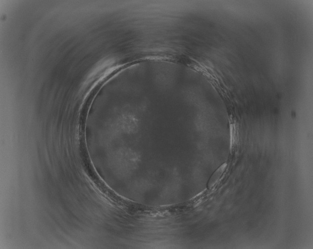 X0000067870243200604271743