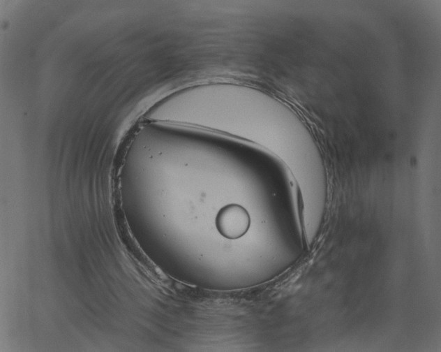 X0000067870244200604271743