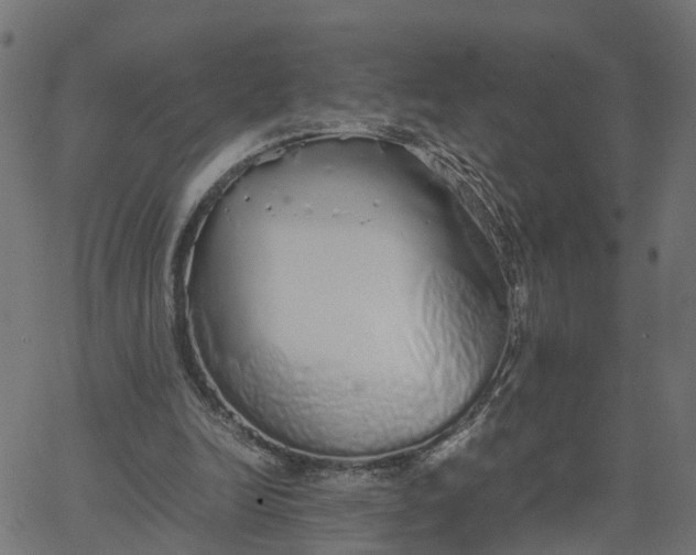 X0000067870246200604271743