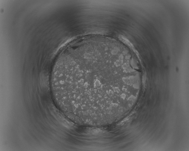 X0000067870249200604271743