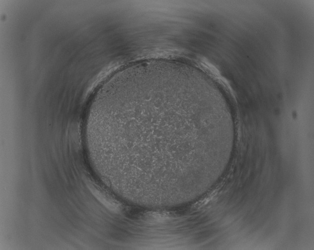 X0000067870250200604271743