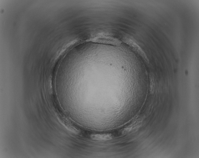 X0000067870251200604271743