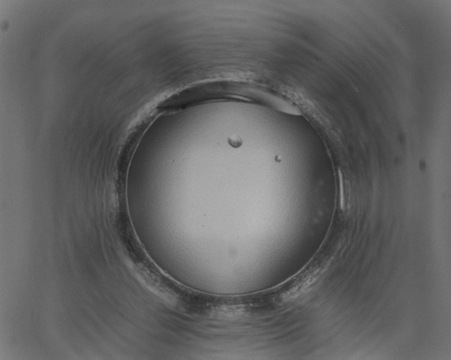 X0000067870252200604271743