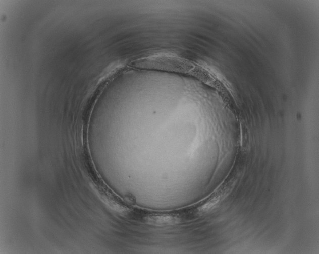 X0000067870253200604271743