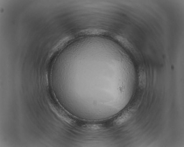 X0000067870254200604271743