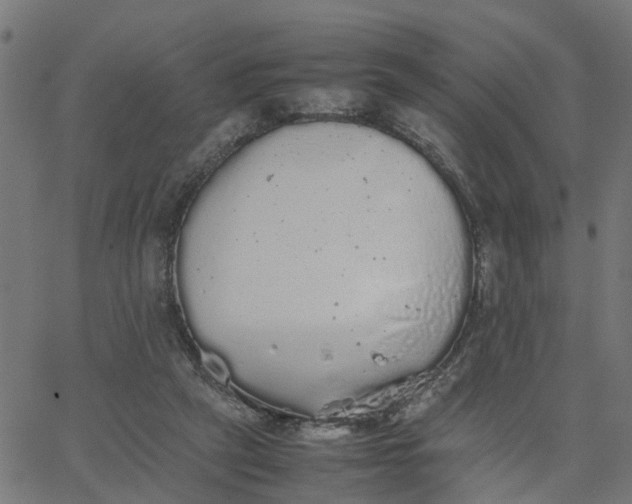 X0000067870257200604271743