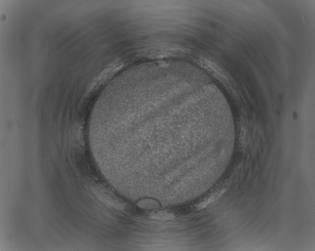 X0000067870258200604271743