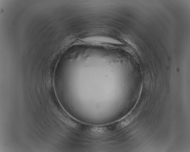 X0000067870261200604271743