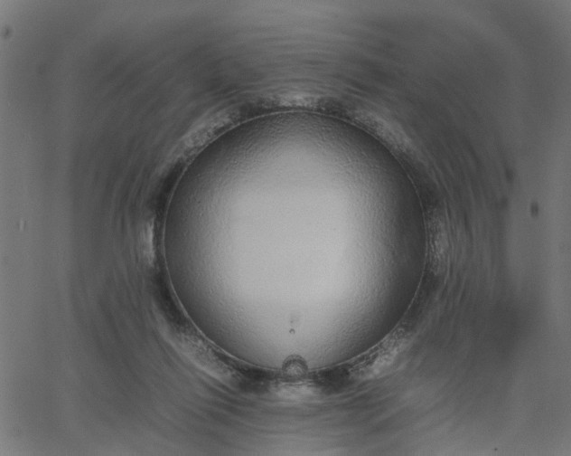 X0000067870262200604271743