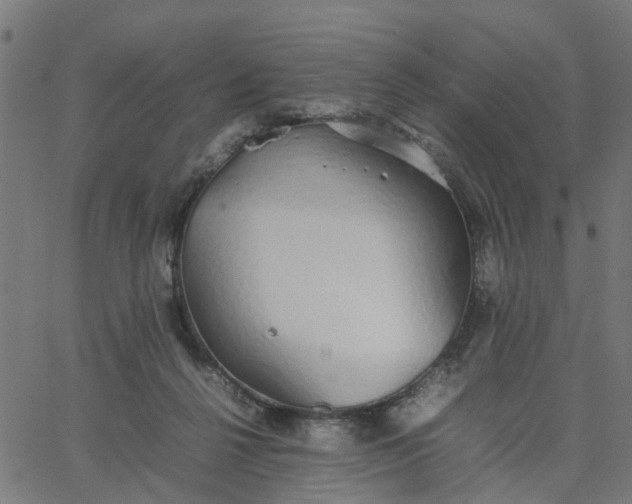 X0000067870264200604271743