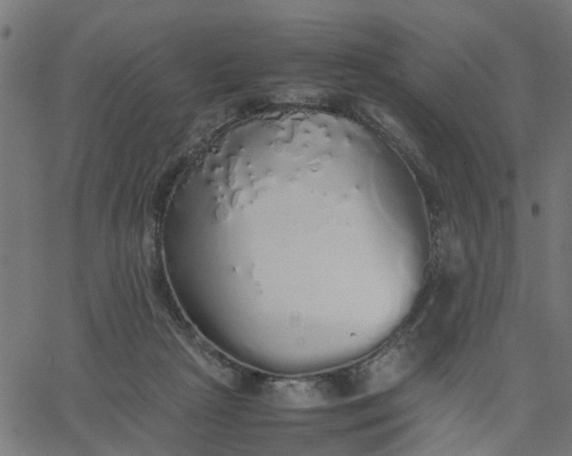 X0000067870265200604271743