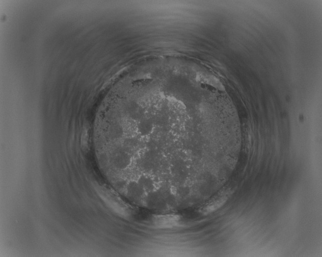 X0000067870266200604271743