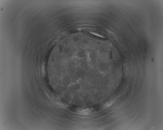 X0000067870267200604271743