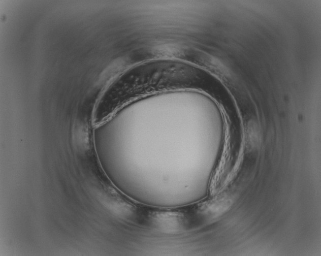 X0000067870268200604271743