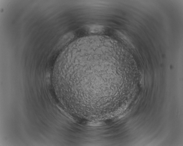 X0000067870269200604271743