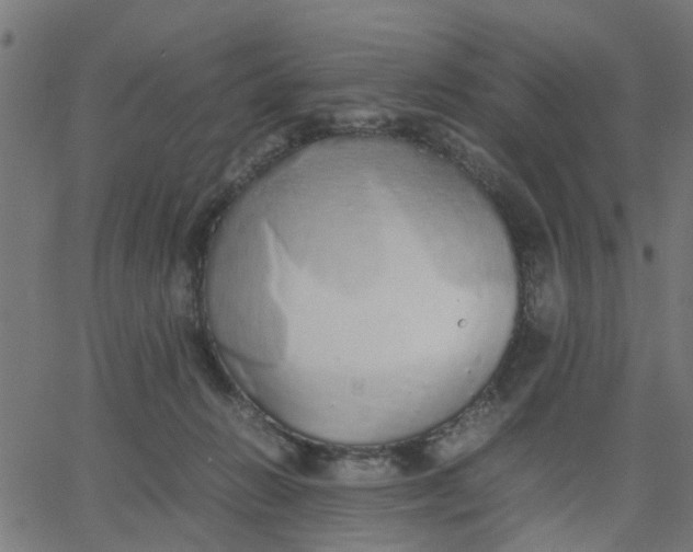 X0000067870270200604271743