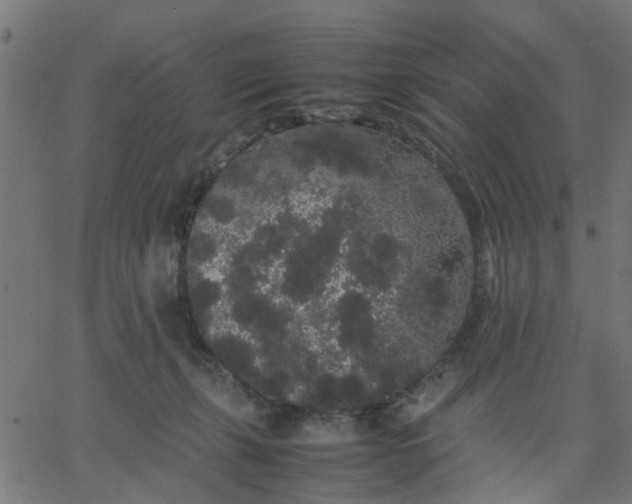 X0000067870271200604271743