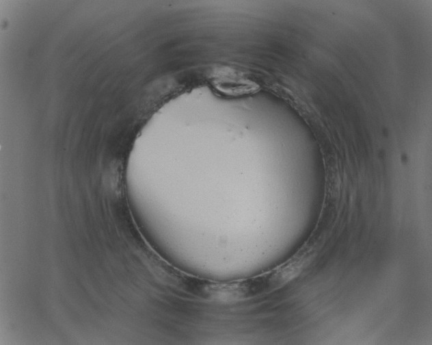 X0000067870273200604271743