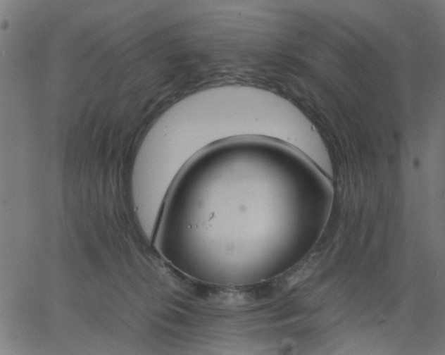 X0000067870276200604271743