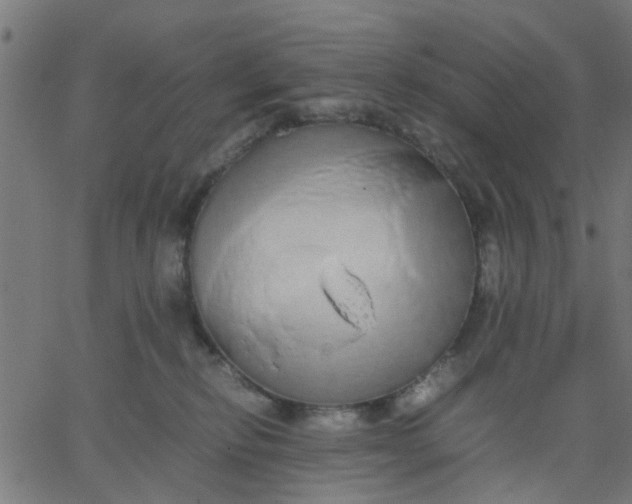 X0000067870278200604271743