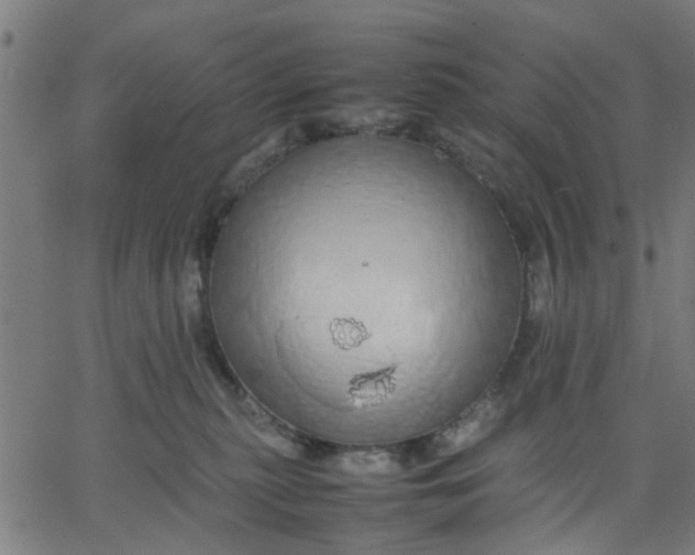 X0000067870279200604271743