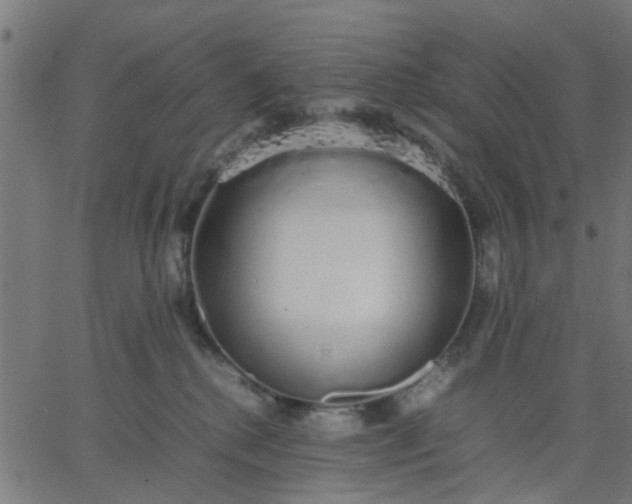 X0000067870280200604271743