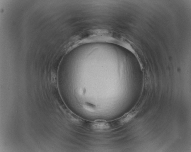 X0000067870281200604271743