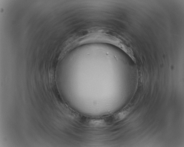 X0000067870283200604271743