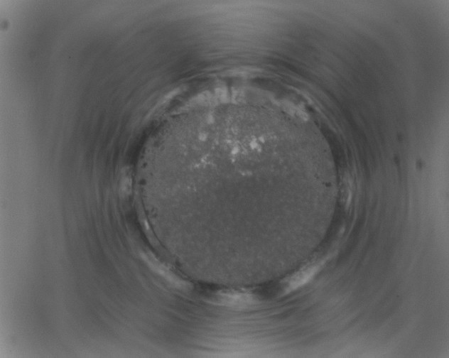 X0000067870284200604271743