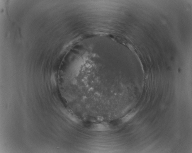 X0000067870286200604271743