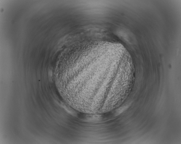 X0000067870288200604271743