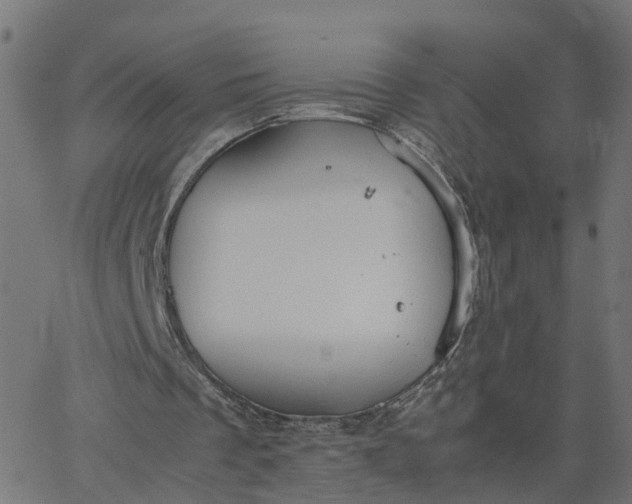 X0000067870289200604271743