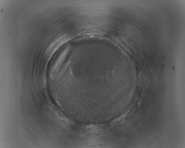 X0000067870290200604271743