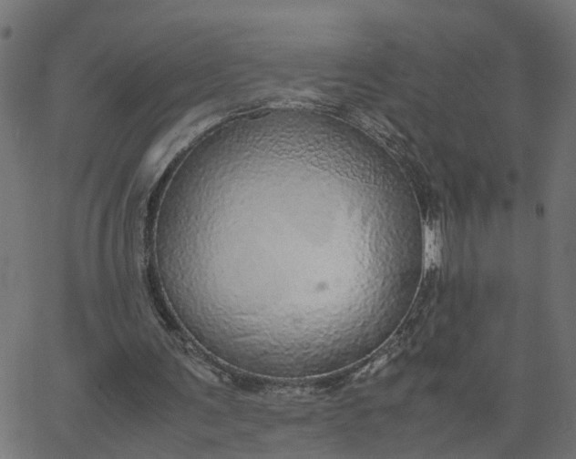 X0000067870291200604271743