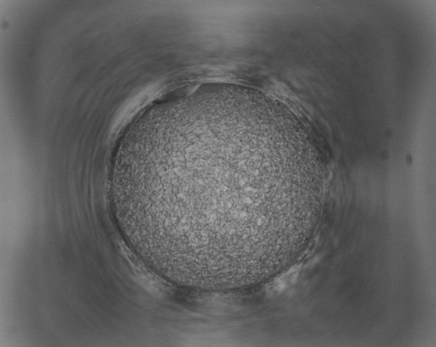 X0000067870293200604271743