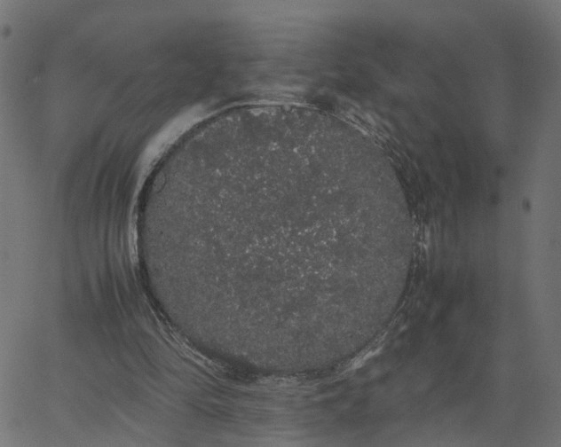 X0000067870294200604271743