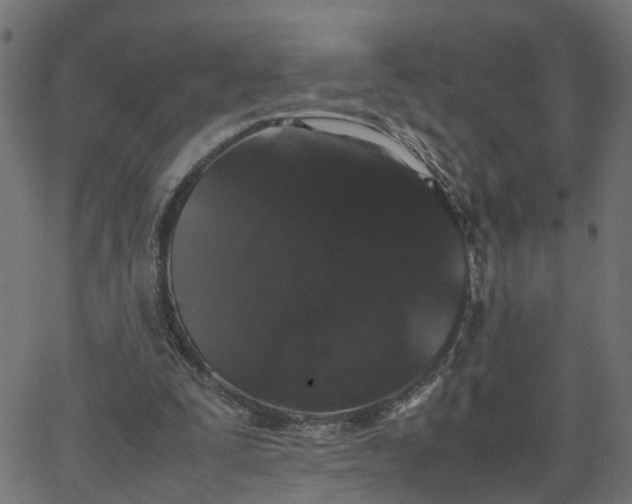 X0000067870295200604271743