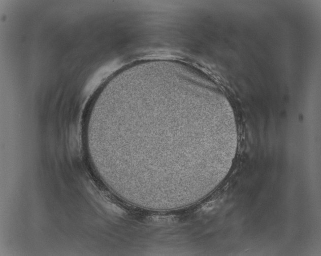 X0000067870296200604271742